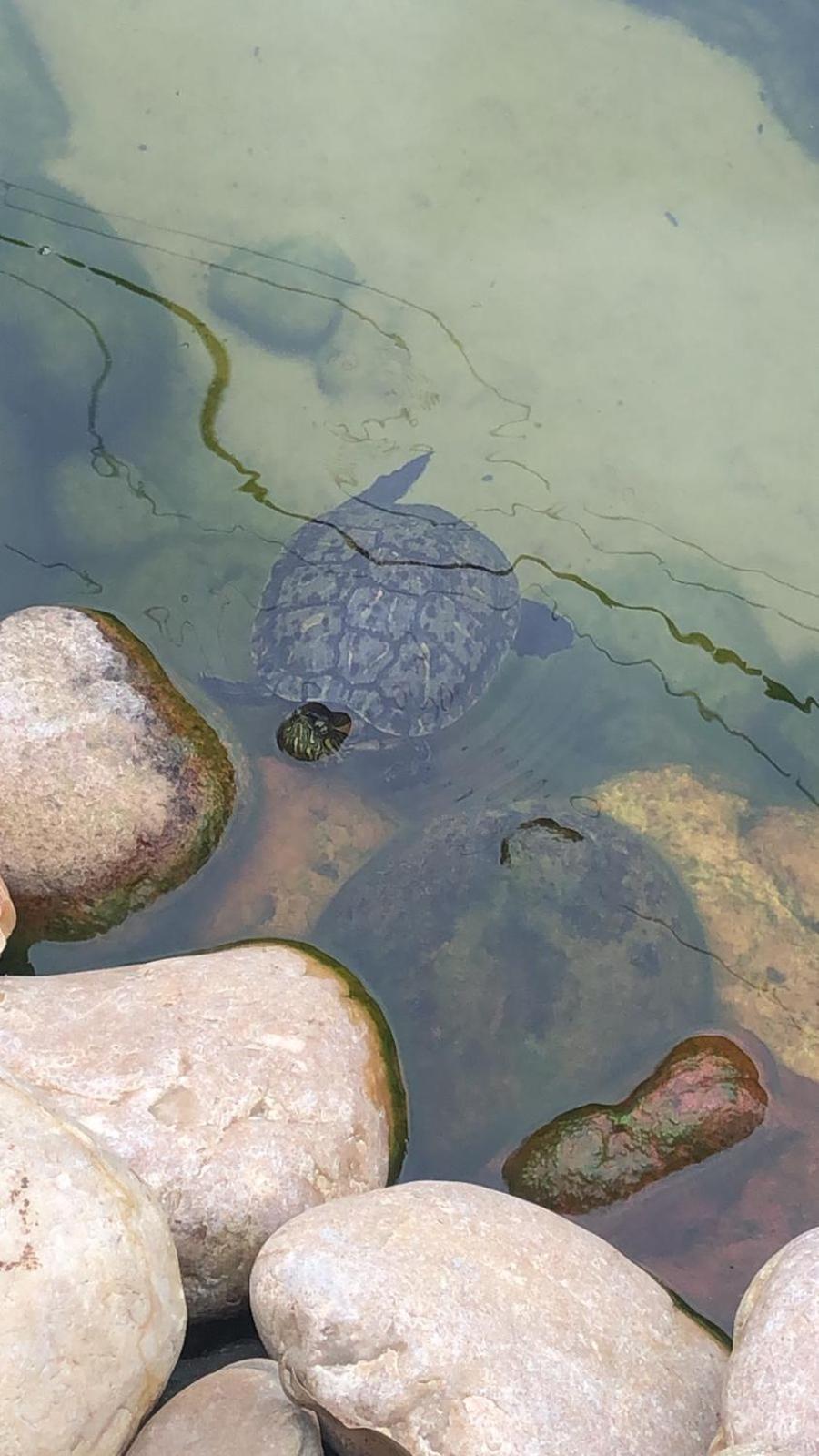 Pousada Vo Lica Com Piscina Penha  Esterno foto
